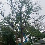 Waco, TX RV Park