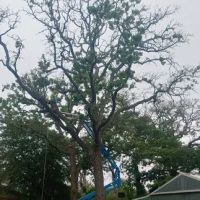 Waco, TX RV Park ico