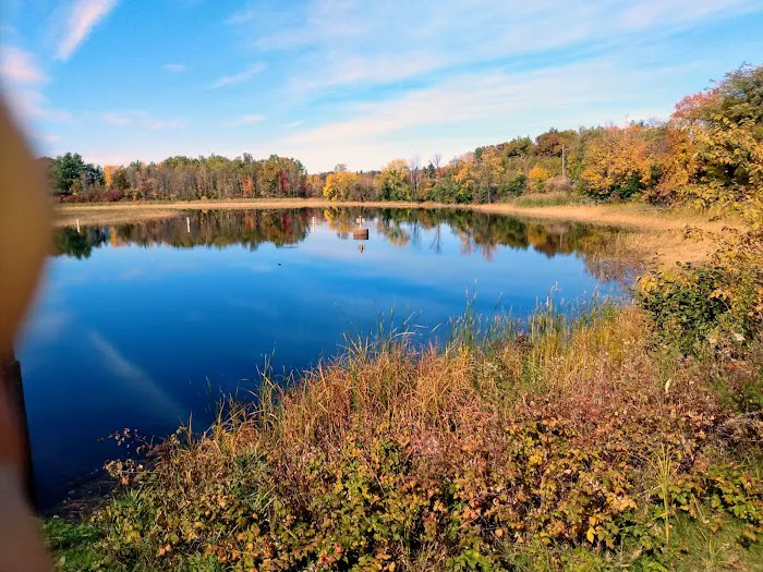 Pokegama Dam Campground Picture 4