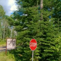 Camp buckskin ico