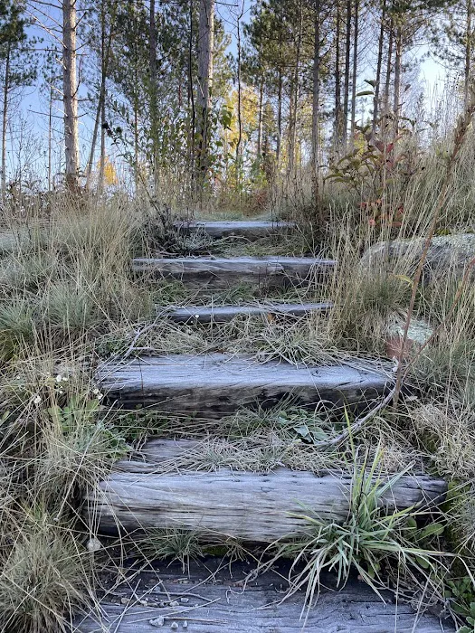 McDougal Lake Campground Picture 8