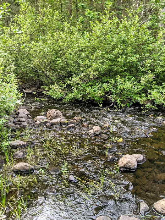 Little Isabella River Campground Picture 3