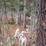 Little Isabella River Campground