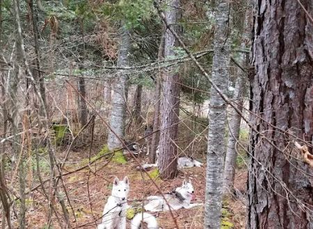 Little Isabella River Campground