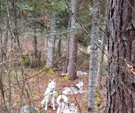 Little Isabella River Campground