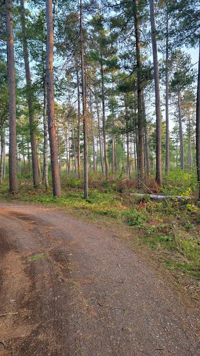 Little Isabella River Campground Picture 9