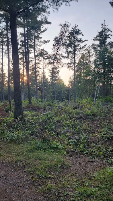Little Isabella River Campground Picture 5