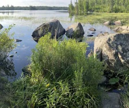 Birch Lake Campground Group Site
