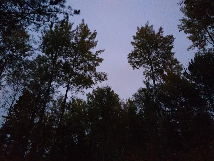 Birch Lake Campground Picture 6