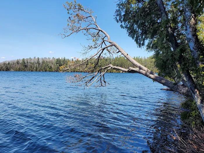 Eighteen Lake Rustic Campground Picture 7