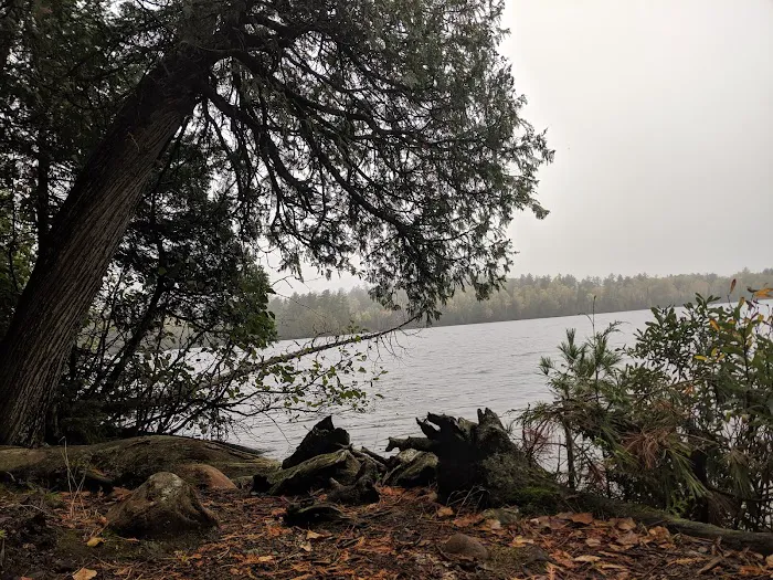 Eighteen Lake Rustic Campground Picture 5