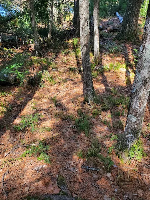 Eighteen Lake Rustic Campground Picture 9