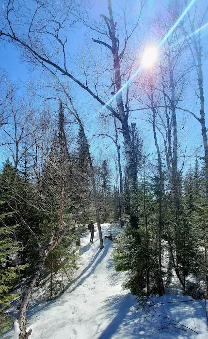 Divide Lake Campground & Backcountry Sites Picture 4