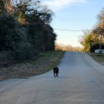 Indian Woods Campground