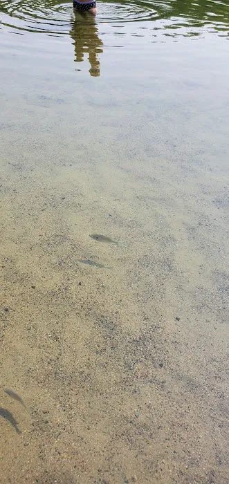 Stubler Beach and Campground Picture 8