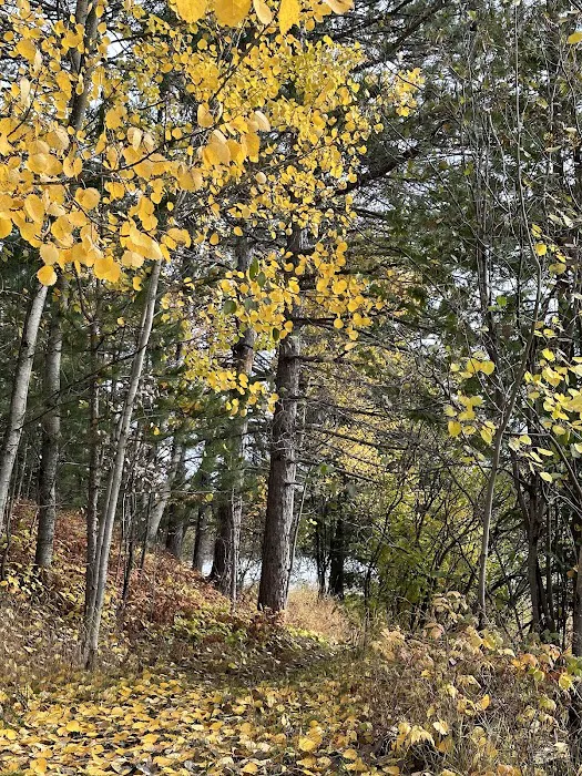 Mesaba Cooperative Park Picture 9