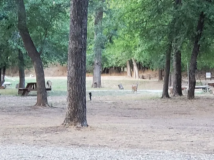 Gypsy Moon Hideaway - RV Park & Campground Picture 7