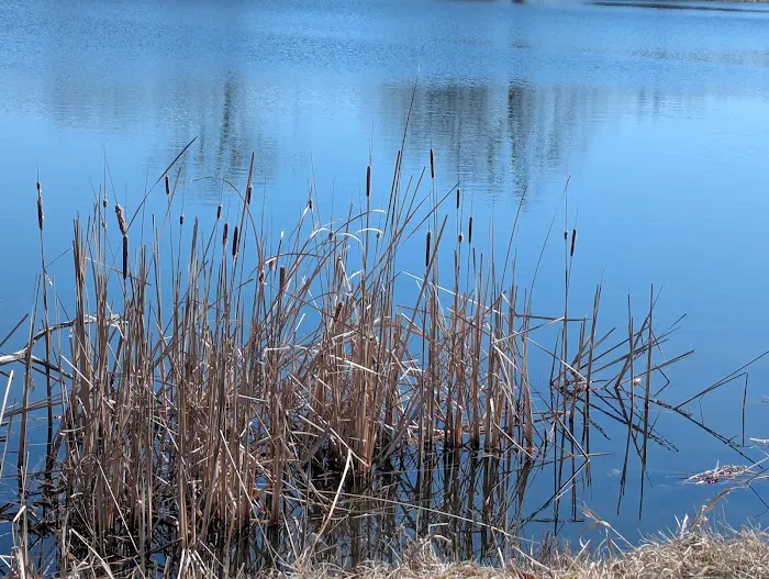 Goldenrod Campground Picture 9