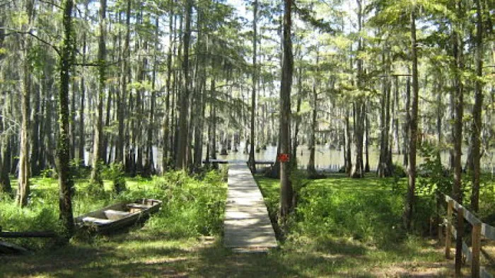 Whispering Oaks RV Park and Campground Picture 2