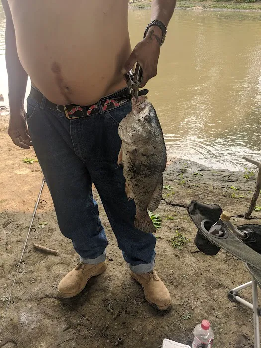 Catfish Run WMA, Kayak Landing Picture 2