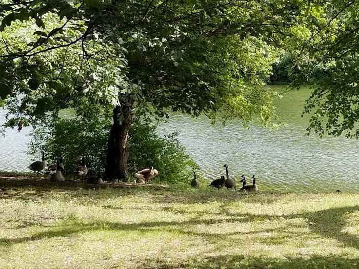 Lakeside Campground Picture 7