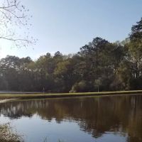 Drew Mobile Home Park ico