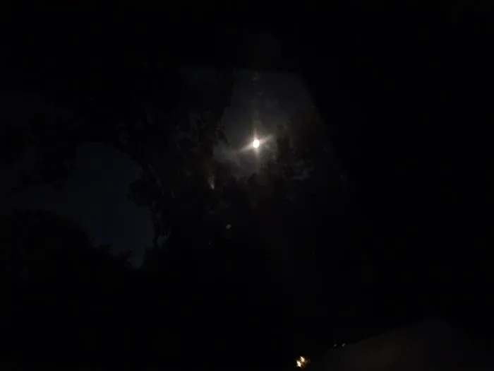 Little Creek Campground Picture 7