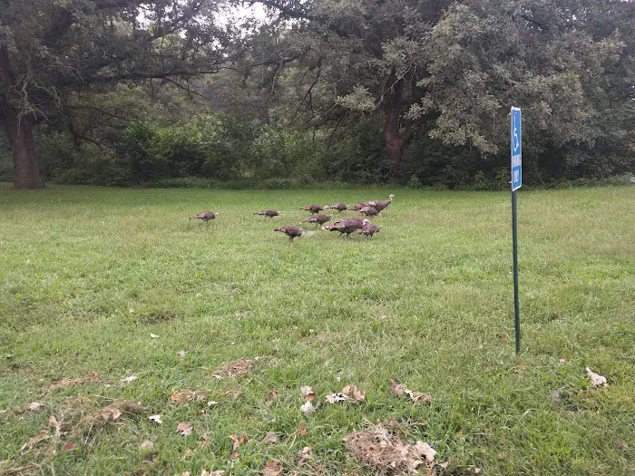 Little Creek Campground Picture 8
