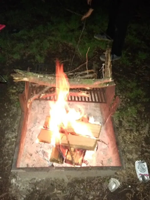 Little Creek Campground Picture 1