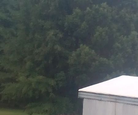 Wainwright Mobile Home Park