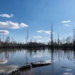 Cheniere Lake Mobile Home Park
