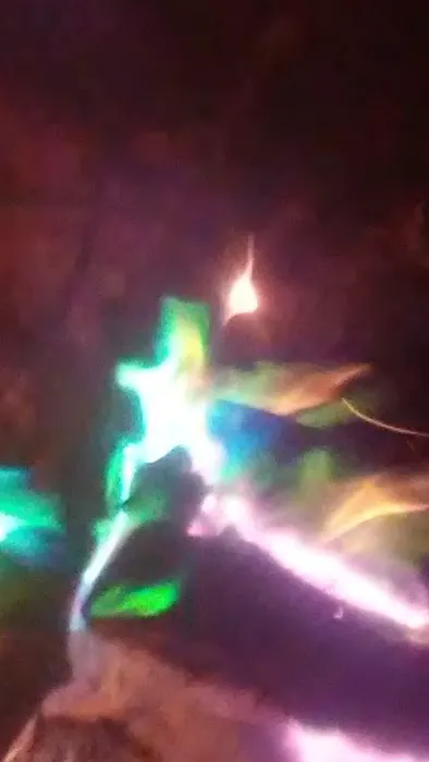 Uncle Bernies Campground Picture 4