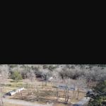 Forest Village