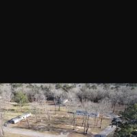 Forest Village ico
