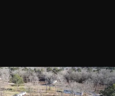 Forest Village