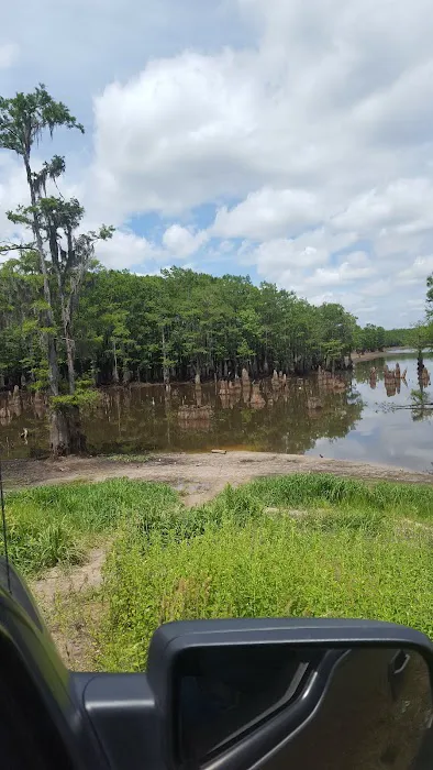 Pavilion RV Park Picture 2