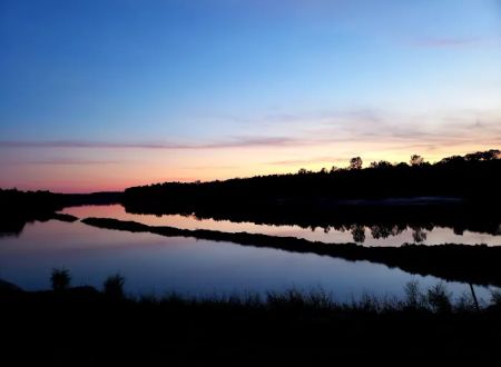 River Island RV Park