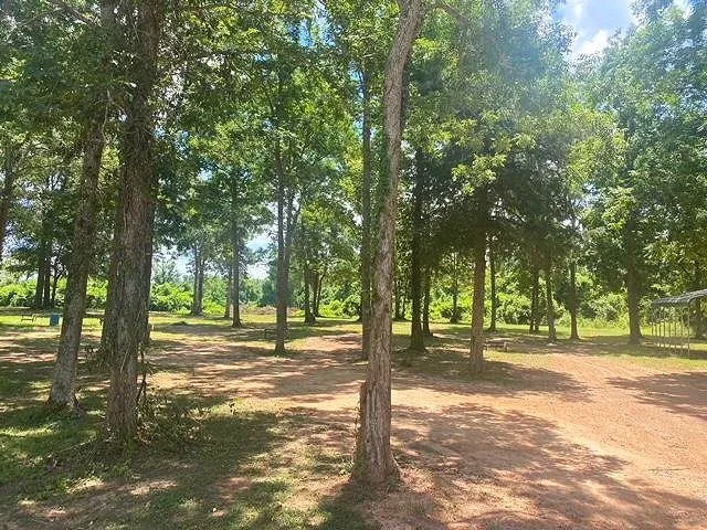 River Island RV Park Picture 2
