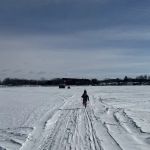 The Island-Alexandria, MN