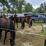 Walter E. Stark Assembly Area and Horse Campground