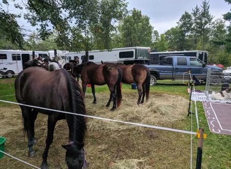 Walter E. Stark Assembly Area and Horse Campground