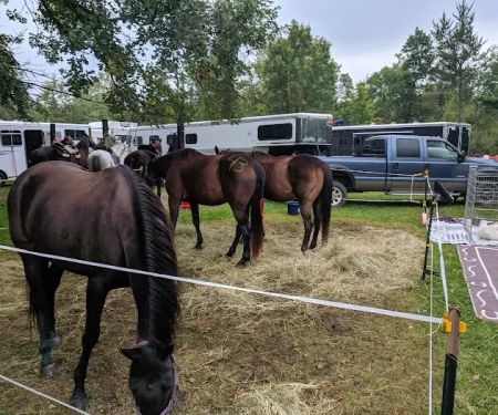 Walter E. Stark Assembly Area and Horse Campground