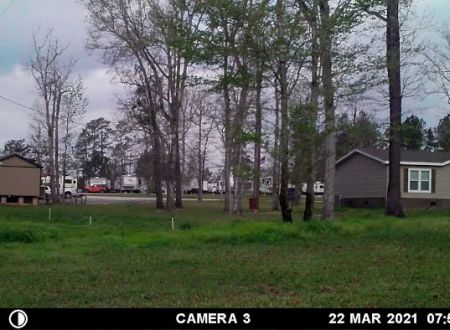 Arlington RV Park