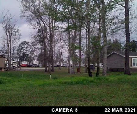 Arlington RV Park