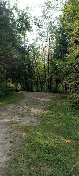 Rock Lake Campground Picture 6