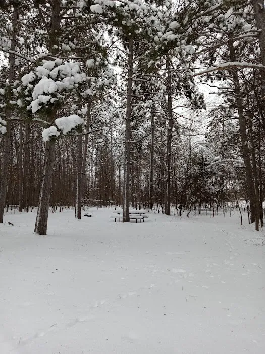 Rock Lake Campground Picture 9
