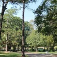 Pine Oaks RV Park ico