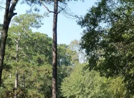 Pine Oaks RV Park