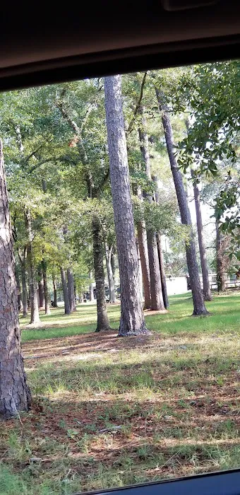 Pine Oaks RV Park Picture 3