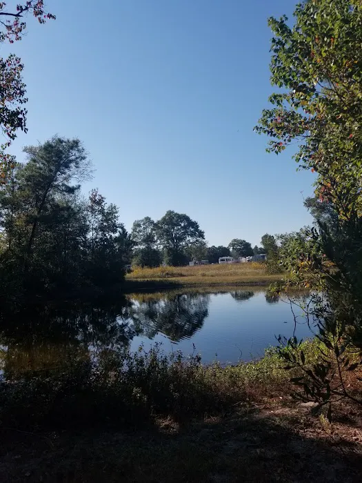 The Good Life RV Park Picture 4